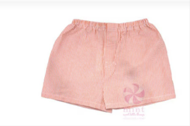 Seersucker Shorts