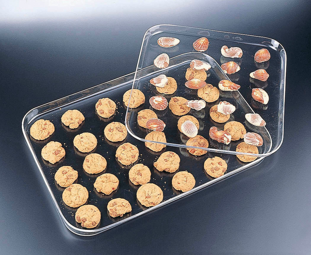Rectangle Acrylic Snack Tray